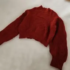 RAMIRAL ニット　セーター レッド　プルオーバー ゆったり 大きめ M