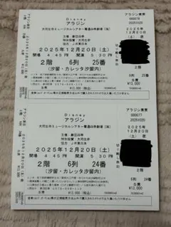 cocoちゃん様　専用 Disney アラジン ミュージカル チケット 2枚