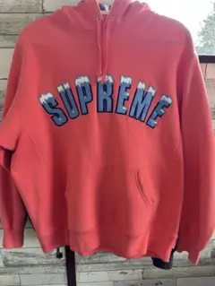 Supreme Icy Arc Hooded Sweatshirt pink