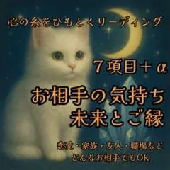 お相手の気持ちと二人の未来 ꕤ 深掘り チャット鑑定⟡ ࣪