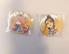 安土桃 花畑チャイカ 缶バッジ セット にじさんじチップスVol.5