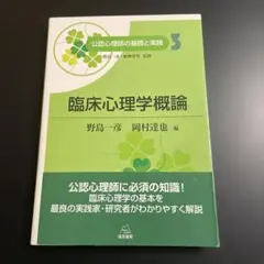 임상 심리학 개론 공인 심리사의 기초와 실천 1026년