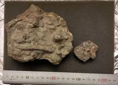 Item thumbnail for item 5e54b3f0-07cd-4523-b804-8e02c99f36ea