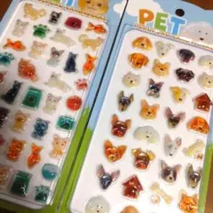 新品未開封　PET　ぷくぷくキャンディシール　2枚セット　いぬ　ねこ　犬　猫