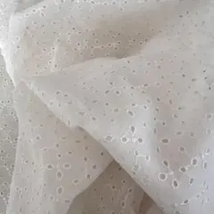 オフホワイト刺繍レース生地