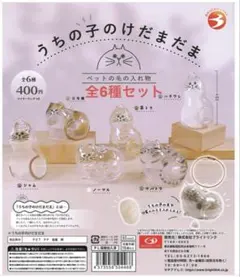 うちの子のけだまだま 全6種セット コンプリート キーホルダー 猫 ガチャ