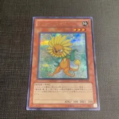 美品【遊戯王】ダンディライオン　シークレット BE02