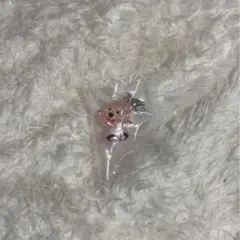 ZANMANG LOOPY めじるしアクセサリー おどるぴー