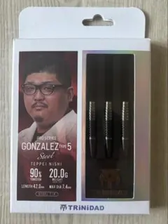 スティールダーツ