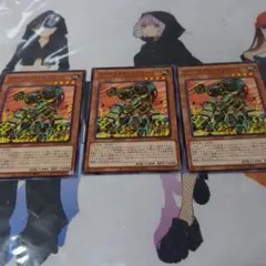 コアキメイルサプライヤー×3
