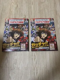 Item thumbnail for item 70d62a53-a8d0-46dc-8892-561b1de8e919