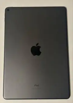 Apple iPad Air (第3世代) 256GB
