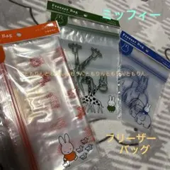 Item thumbnail for item fe49e66a-e9e6-4a55-8894-c716cbf3308a