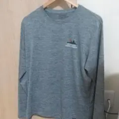 パタゴニア ロングスリーブ キャプリーンクールデイリー M 45160 LINX