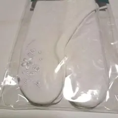 Item thumbnail for item 94f6c75c-9427-4d64-bccd-54f5638656bd