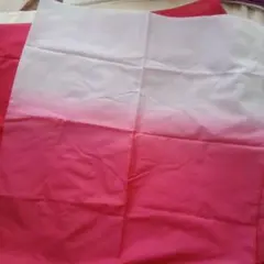 Item thumbnail for item e2dd5c0a-a2db-4d24-8b7f-0f3eb50c401f