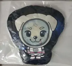 岩田剛典　BDクッション 岩田剛典 BDクッション - メルカリ