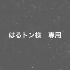 はるトン様　専用