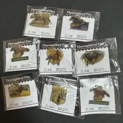 2026年最新】jraピンバッチの人気アイテム - メルカリ