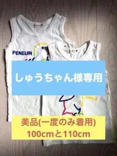 【美品】Branthes タンクトップ 100cm&110cm 2点のサムネイル
