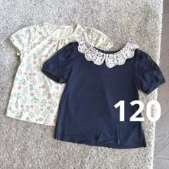 半袖　120 女の子　まとめ売り　Tシャツ　トップス　無地　フリル　花柄