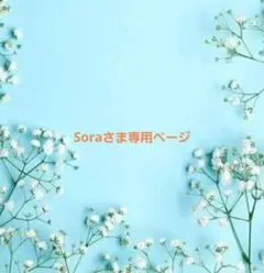 Soraさま専用ページ　ラボ服　らぼ服　ハンドメイド　服