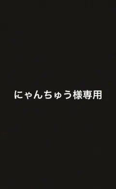 にゃんちゅう様専用