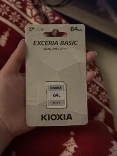 KIOXIA EXCERIA BASIC 64GB SDカード