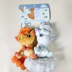 ポケモンセンター にたものどうし ロコン＆アローラロコン ペア
