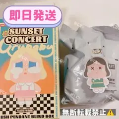 サンセットコンサート Sunset Concert DIM GREEN