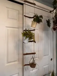 Item thumbnail for item 43426c25-0d62-466c-b335-0b7f38e94aa1