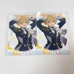 スタフォニ　真白友也　カード