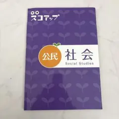 家庭教師ランナー 中学スコアップ 公民 社会