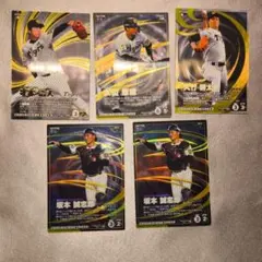プロ野球 ファンスターズリーグ 阪神セット