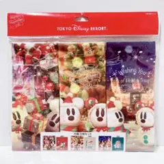 【新品】スノースノー きんちゃく 3枚 ディズニー クリスマス 2016年