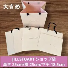 【美品】JILLSTUART ショップ袋 大きめ5枚まとめ売りピンク マチ広め