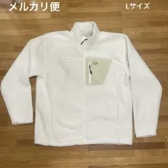 Item thumbnail for item c1d9f421-9f95-4f6a-818e-25e76254e5c6