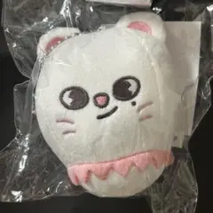 StrayKids　SKZOO　バッグチャーム　ぬいぐるみ　新品未使用 2025年最新】stray kids バッグチャームの人気アイテム - メルカリ