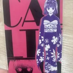 HUNTER×HUNTER 　海外限定漫画特典　キャラカード　中国　カルト