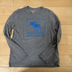 Abercrombie kidsグレー 長袖カットソー L