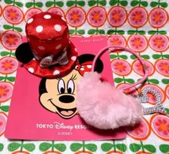 ディズニー　ディズニーリゾート　TDR パッチン・キャップ　ヘアゴム　2点