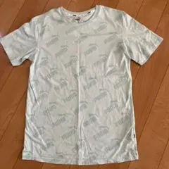 Item thumbnail for item 9372efa6-90e7-4040-bbf6-5b600816f5af