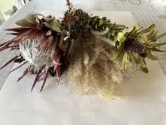 プロテアスワッグ