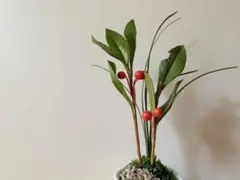 Item thumbnail for item 7624c54a-16ef-4434-be8f-05e6131bff53