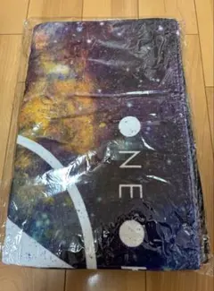 Ｓ*ｉ様 ONE OK ROCK ワンオク 2016 NAGISAEN 渚園 バ