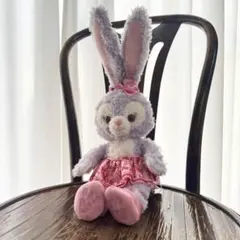 2025年最新】アウラニディズニーステラルーの人気アイテム - メルカリ