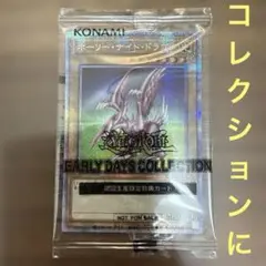 ホーリー・ナイト・ドラゴン 初期版 25周年コレクション ホーリーナイトドラゴン 初期 - メルカリ