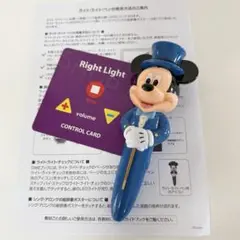 メインプログラム DWE ステップバイステップ DVD CD ライトライトペン ライトライトペンはどこに入っているのか？,ディズニー英語