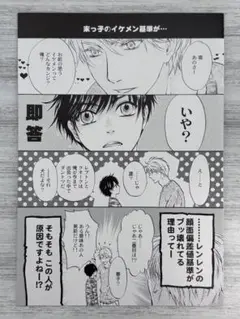 あべ美幸 アニメイト連動購入特典4Pリーフレット