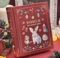 KALDI PLAZA アフタヌーンティー エウレカ ヒュゲリ ブック缶のみ